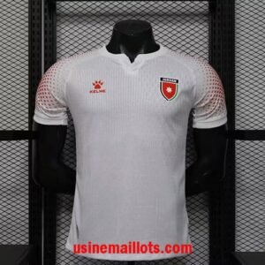 Maillot Match Jordan Domicile Coupe du Monde 2026