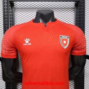 Alternative view of Maillot Match Jordan Extérieur Coupe du Monde 2026