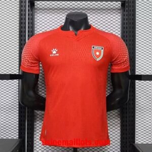 Maillot Match Jordan Extérieur Coupe du Monde 2026