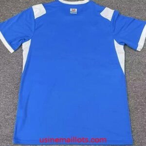 Alternative view of Maillot Cardiff City Domicile 2026/2027 Bleu Blanc