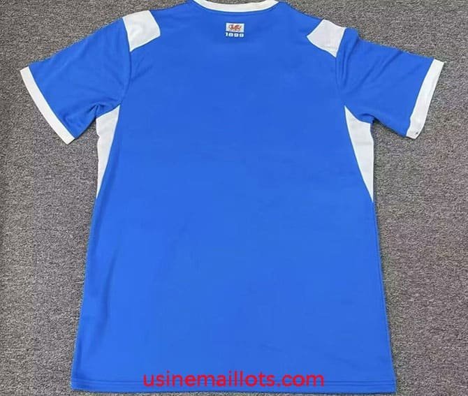 Maillot Cardiff City Domicile 2026/2027 Bleu Blanc – Image 2