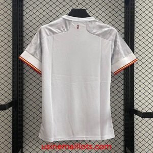 Alternative view of Maillot Espagne Extérieur 2021
