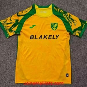 Maillot Norwich City Domicile 2026/2027 Jaune Vert
