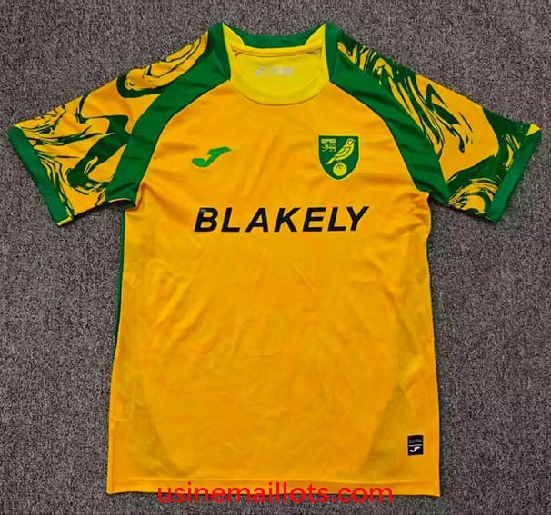 Maillot Norwich City Domicile 2026/2027 Jaune Vert