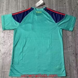 Alternative view of Maillot Rétro Espagne Gardien 2010
