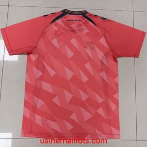 Alternative view of Maillot Werder Breme Third 2026/2027 Rose Vert