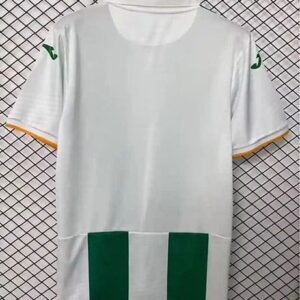 Alternative view of Maillot Cordoba CF Domicile 2026/2027 Vert Blanc