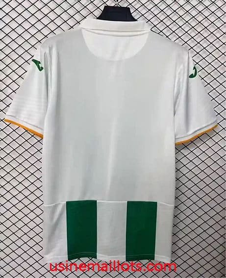 Maillot Cordoba CF Domicile 2026/2027 Vert Blanc – Image 2