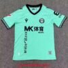 Maillot Deportivo Alaves Third 2026/2027 Vert
