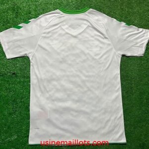 Alternative view of Maillot Gardien Real Betis 2026/2027 Blanc Vert