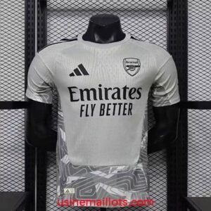 Maillot Match Arsenal Gardien 2026/2027 Gris