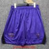 Short Barcelone Extérieur 2026/2027 Violet
