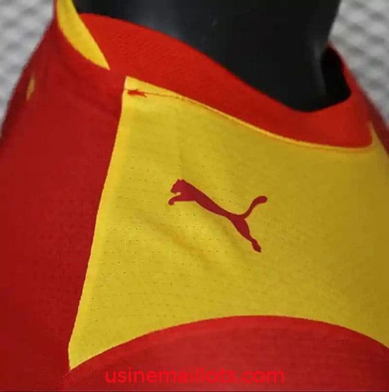 Maillot Match Galatasaray Domicile 2026/2027 – Image 2