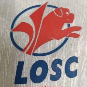 Alternative view of Maillot Match Lille Extérieur 2026/2027 Blanc