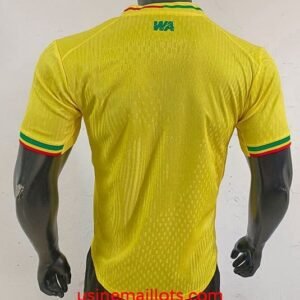 Alternative view of Maillot Match Mali 2026 Jaune