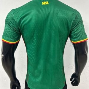 Alternative view of Maillot Match Mali 2026 Vert